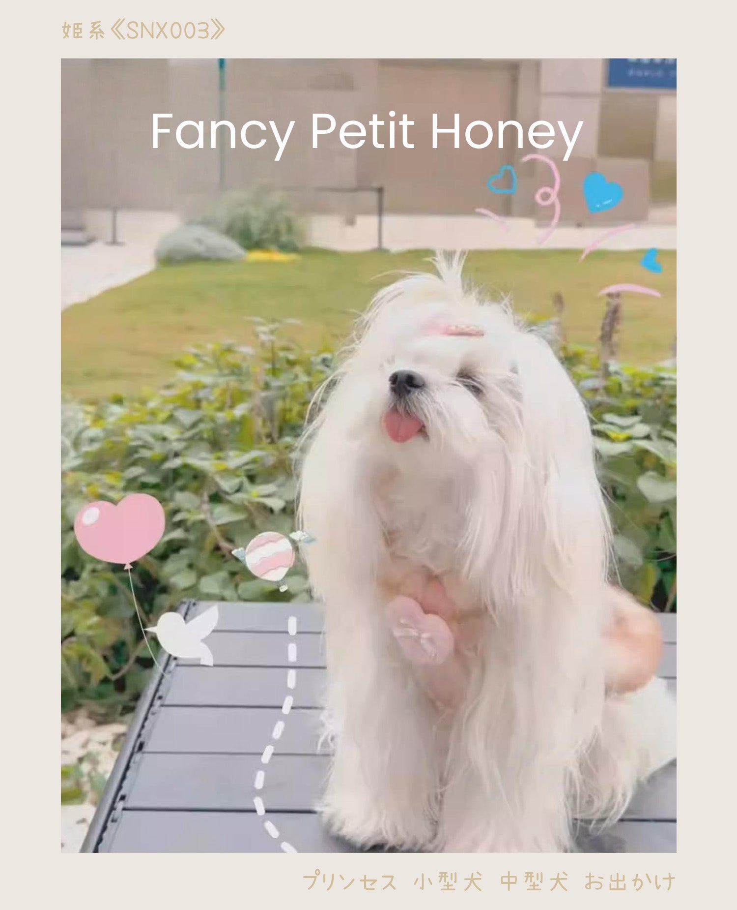 Fancy Petit Honeyのお姫様コレクションのひとつ。大きなハートのモチーフもお洋服と調和して、いい目立ち方をします。春頃のお出かけに。＜SNX003＞