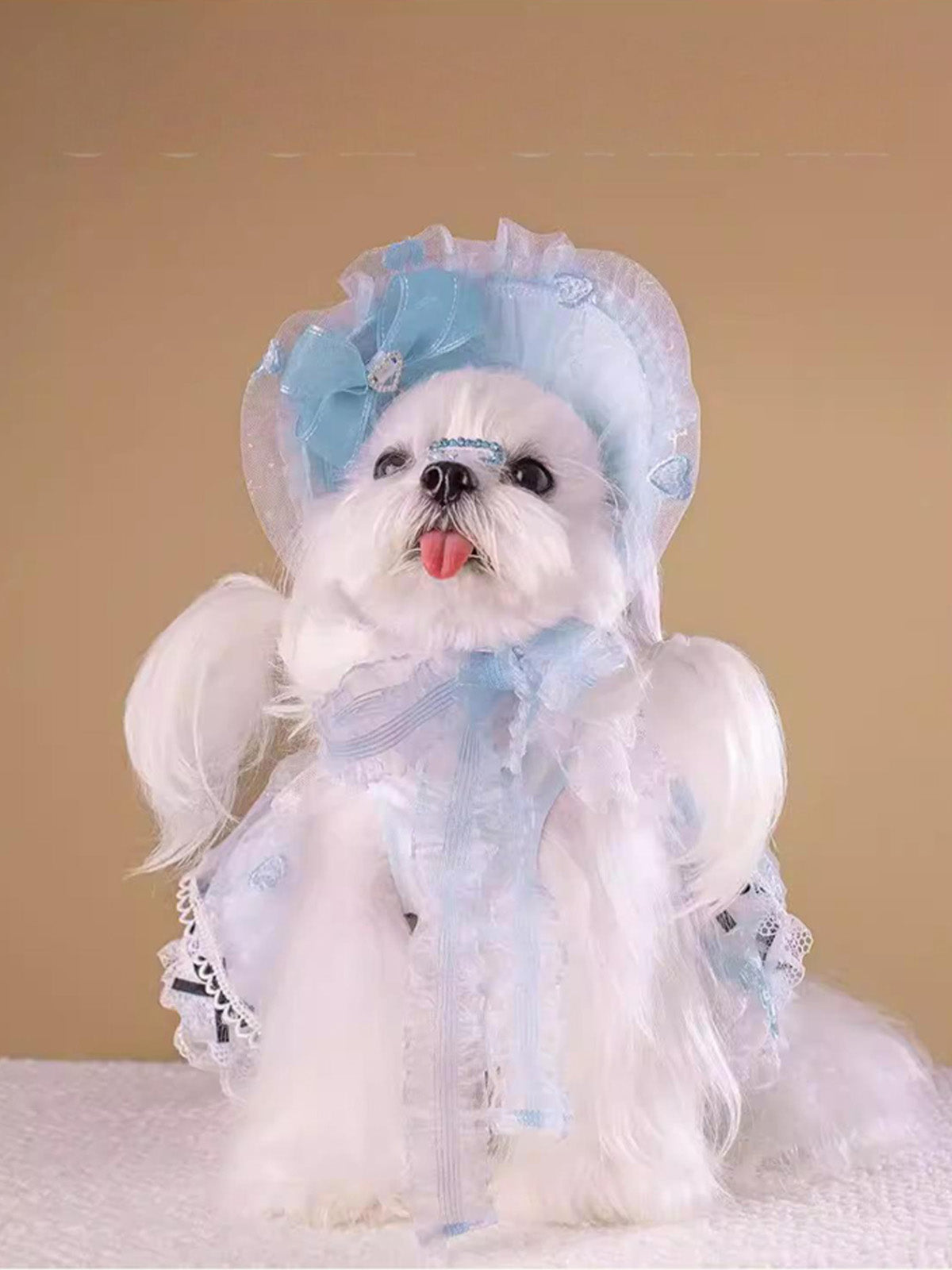 ALS006B　中型犬　小型犬　子犬　わんこ　不思議の国　ドレス　サスペンダー　コスプレ服　メイド　ロリータ