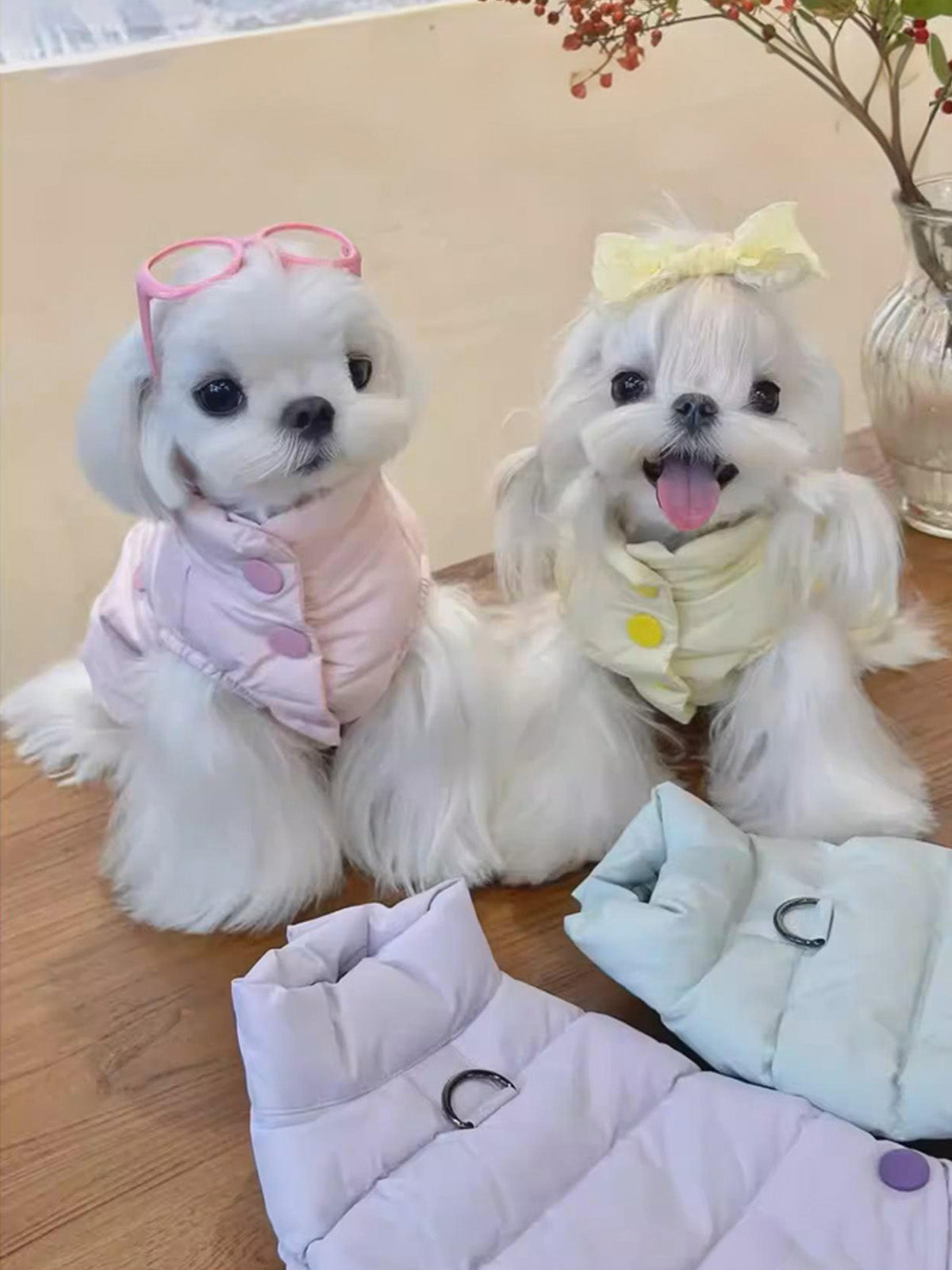 Fancy Petit Honeyの犬用冬服《MKL008A》｜マカロンカラーの高品質ダウンコート｜小型犬・中型犬対応、ピンクはアソビ心いっぱいでよりかわいく。