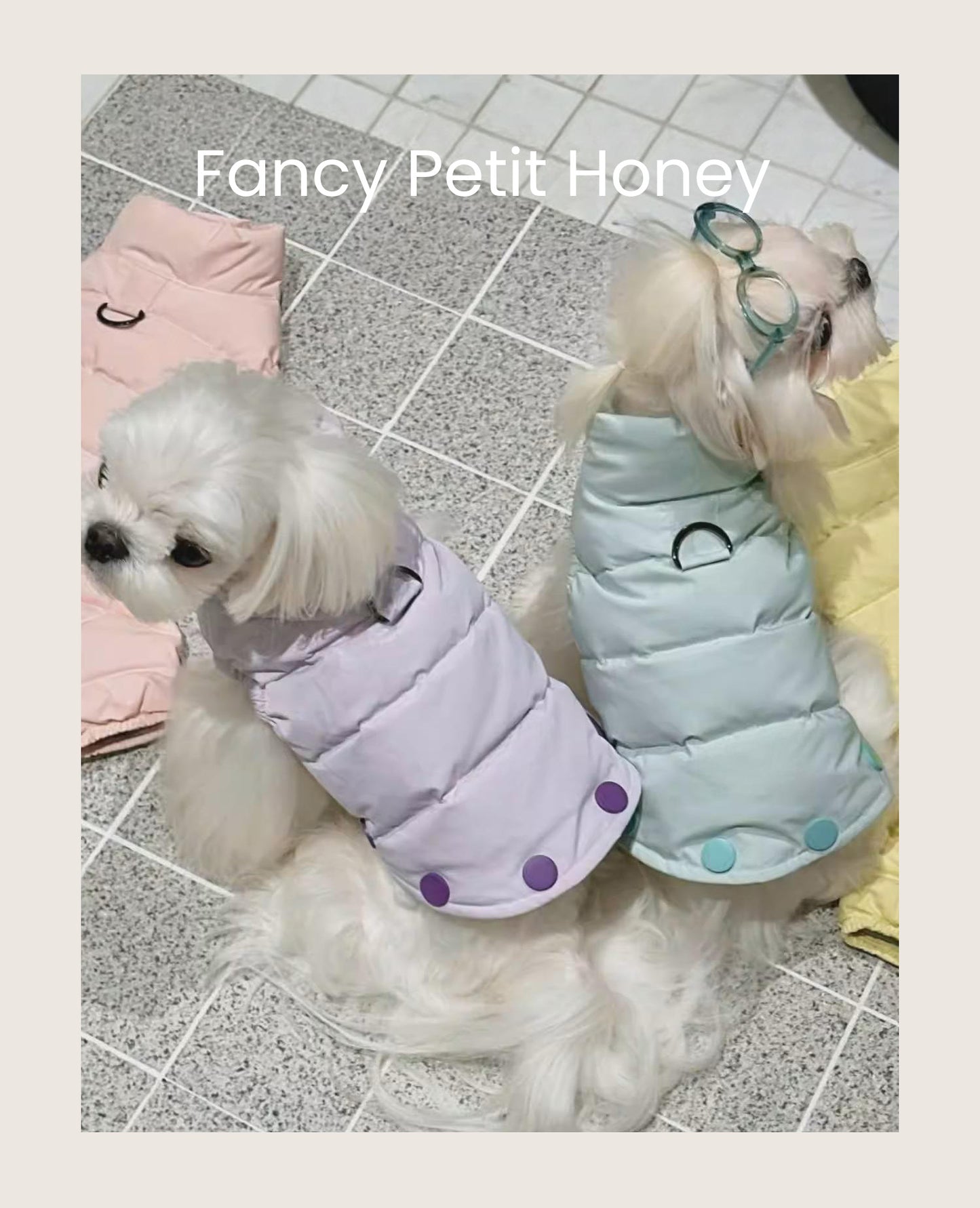 Fancy Petit Honeyのマカロンカラーコーデ《MKL008A》｜冬の撮影にぴったりな高品質ダウンコート、背中も可愛く、リードも取り付け外ししやすい。