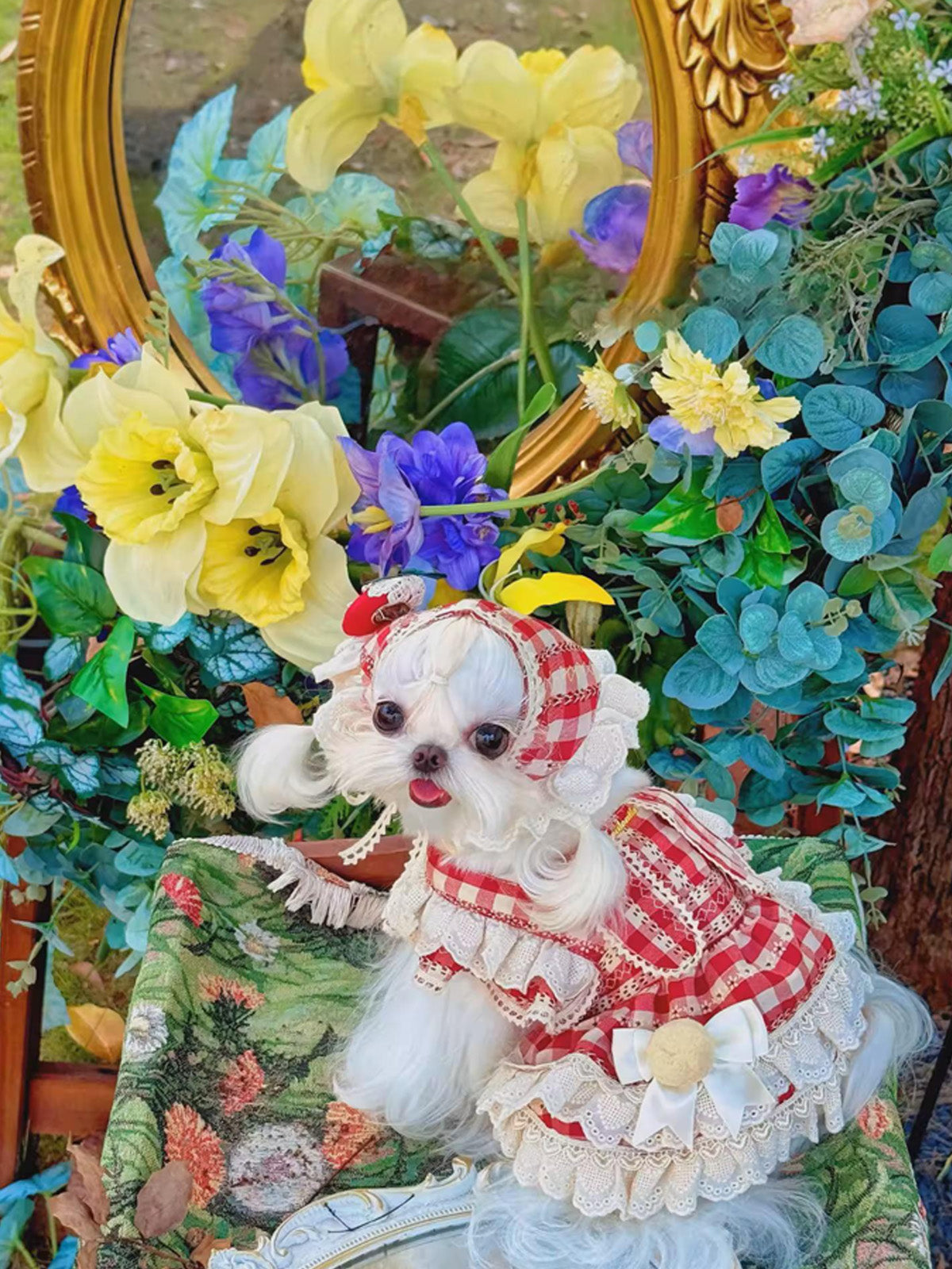 小型犬・中型犬向け春のいちご狩りドレス《MMT001》。赤チェック柄にうさぎと苺のモチーフ付き。