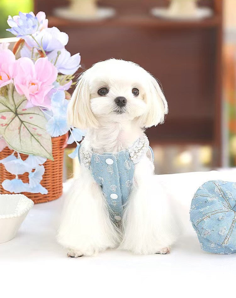 小型犬・中型犬向けの高級感あるピンクプリンセスドレス《NYBL》。クラシカルかつ都会が融合したスタイル