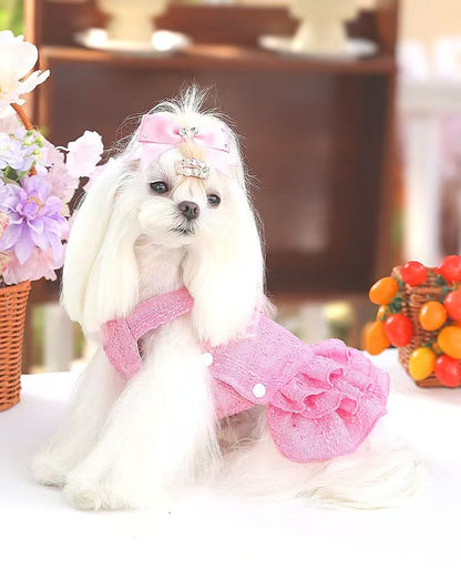 Fancy Petit Honeyのプリンセスドレス《NYPK》を着た小型犬。入学式・卒業式に映えるクラシカルな装い