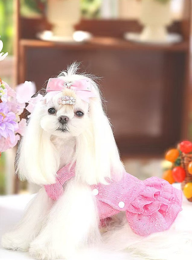 Fancy Petit Honeyのプリンセスドレス《NYPK》を着た小型犬。入学式・卒業式に映えるクラシカルな装い
