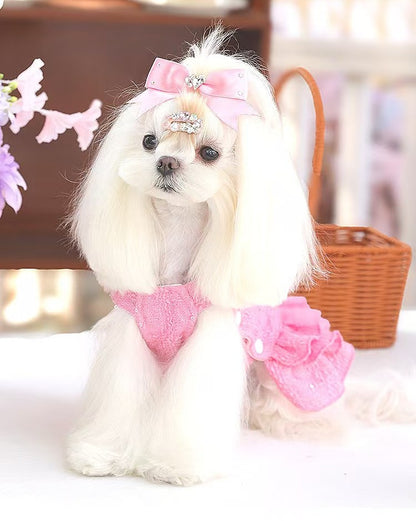 Fancy Petit Honeyのプリンセスドレス《NYPK》を着た小型犬。入学式・卒業式に映えるクラシカルな装い