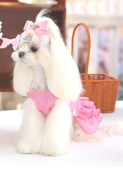 Fancy Petit Honeyのプリンセスドレス《NYPK》を着た小型犬。入学式・卒業式に映えるクラシカルな装い