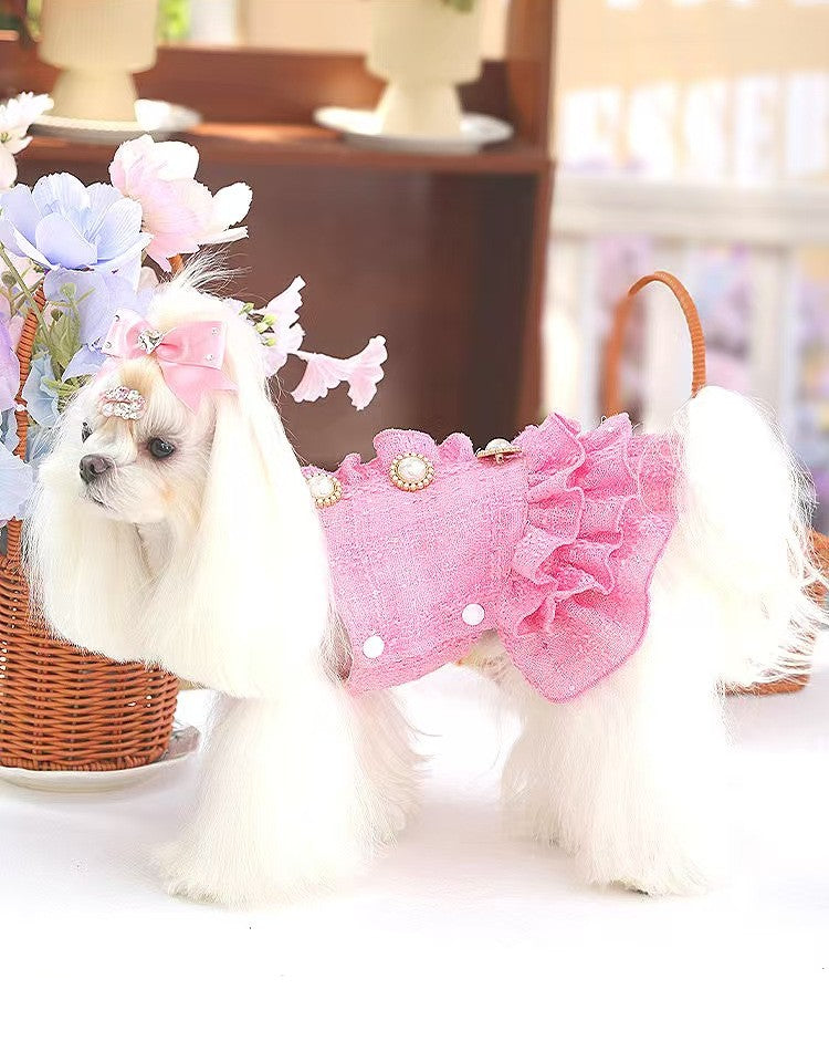 Fancy Petit Honeyのプリンセスドレス《NYPK》を着た小型犬。入学式・卒業式に映えるクラシカルな装い