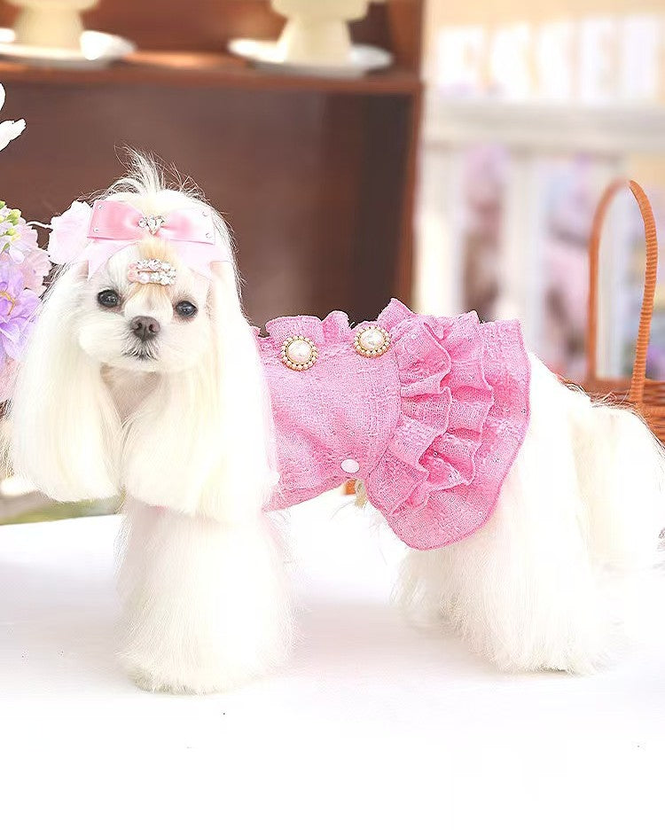 Fancy Petit Honeyのプリンセスドレス《NYPK》を着た小型犬。入学式・卒業式に映えるクラシカルな装い