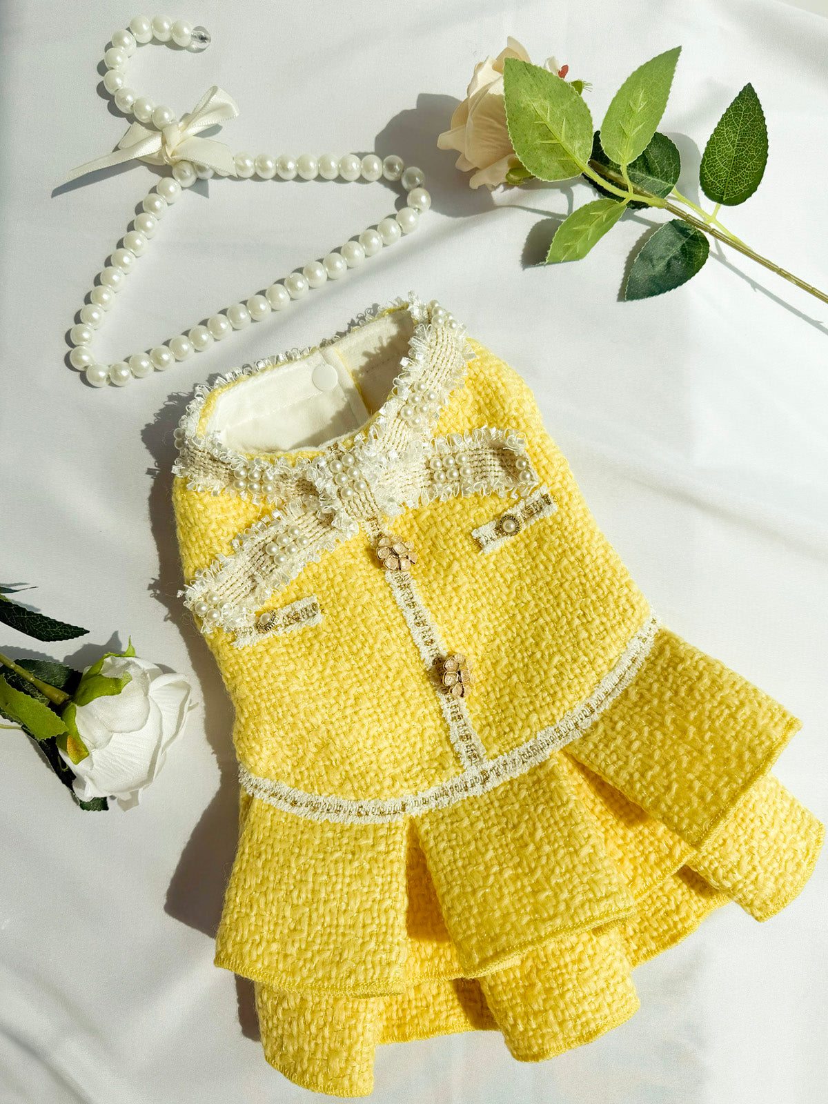 Fancy Petit Honeyのプリンセスドレス《NYYL》を着た小型犬。入学式・卒業式に映えるクラシカルな装い