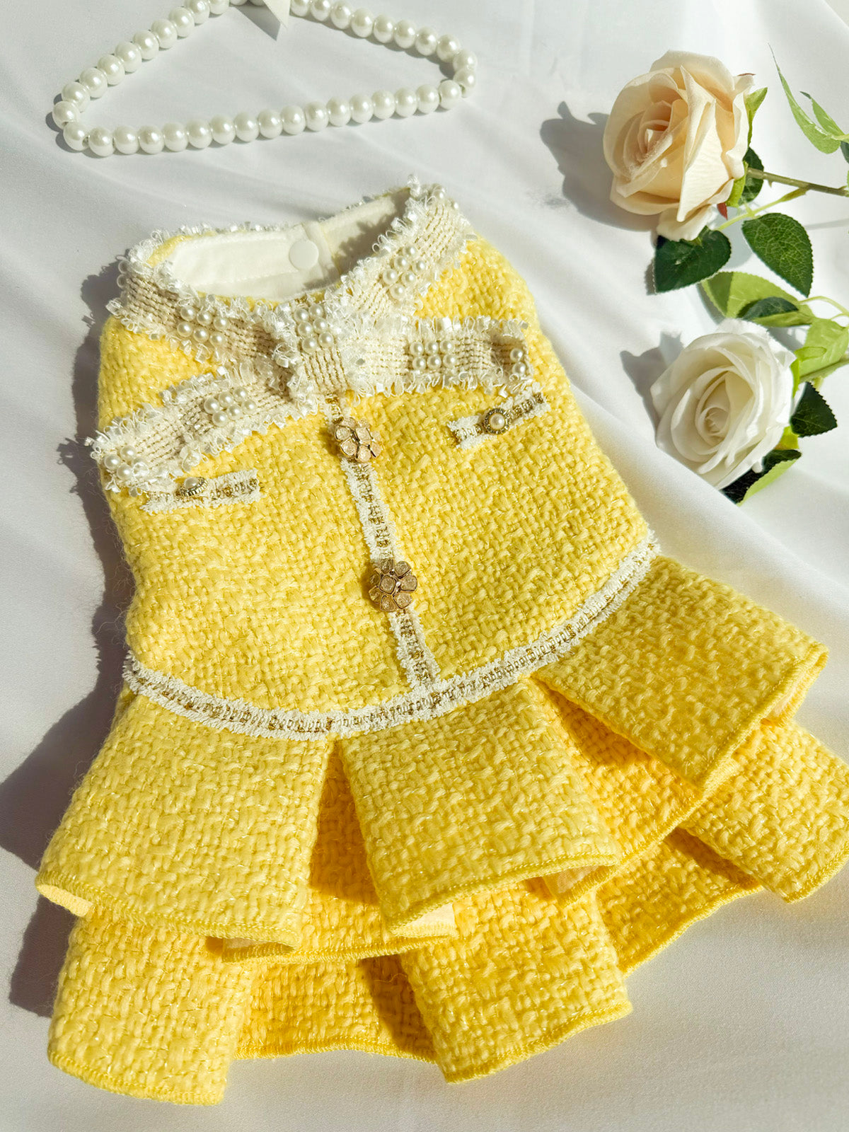 Fancy Petit Honeyのプリンセスドレス《NYYL》を着た小型犬。入学式・卒業式に映えるクラシカルな装い