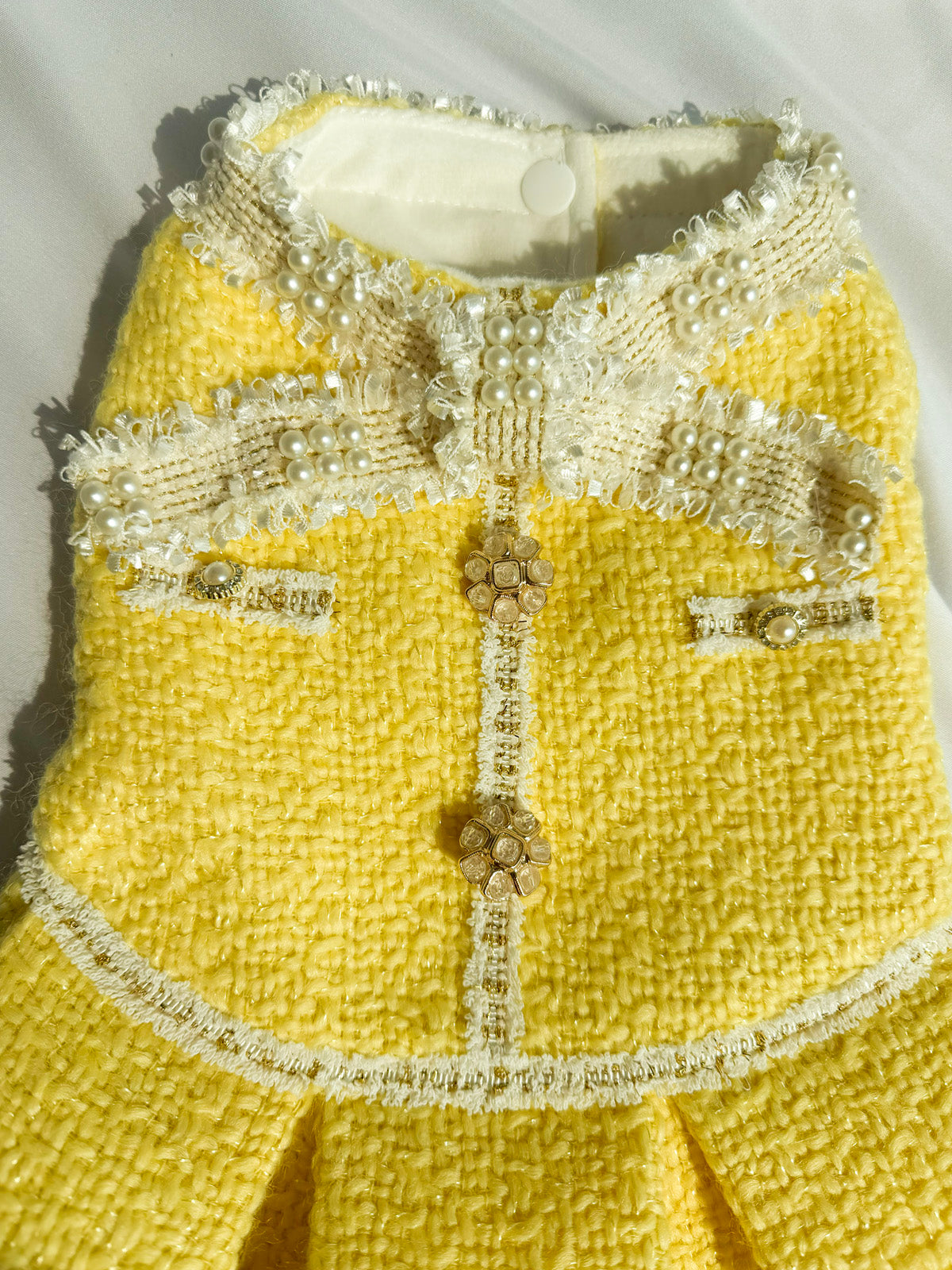 Fancy Petit Honeyのプリンセスドレス《NYYL》を着た小型犬。入学式・卒業式に映えるクラシカルな装い