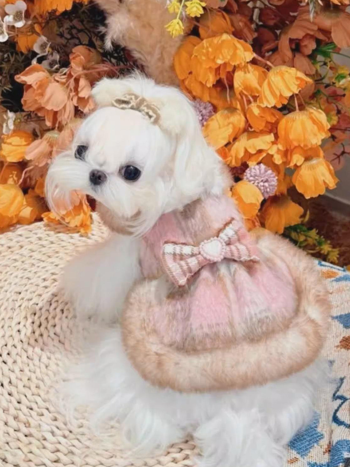 犬用プリンセスワンピース《SNX003》：秋冬向け、ふわふわファーと可愛いリボン付き。Fancy Petit Honeyの人気アイテム