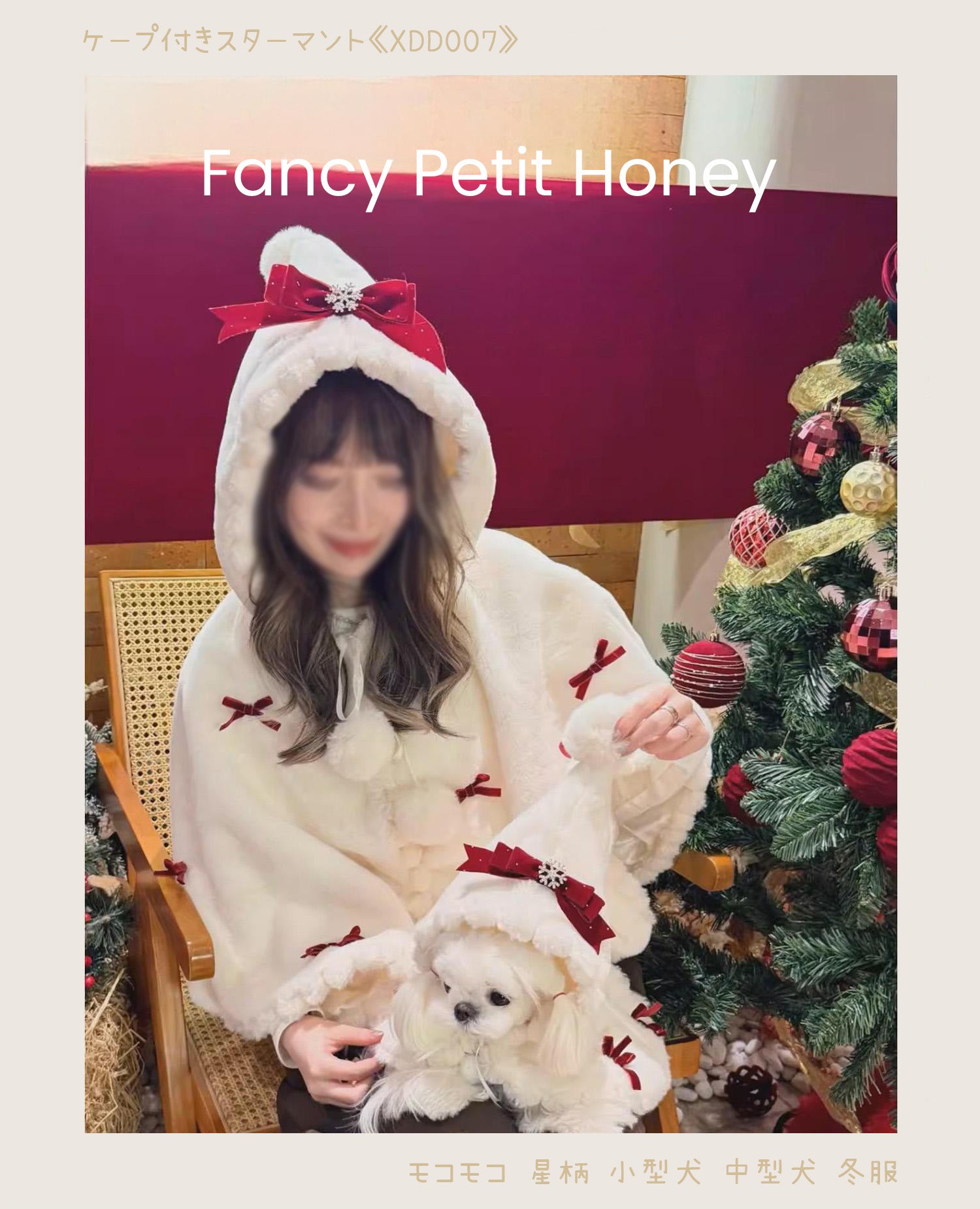ゴールドの背景に映える犬用スターマント《XDD007》｜Fancy Petit Honeyの冬の撮影用コーデ