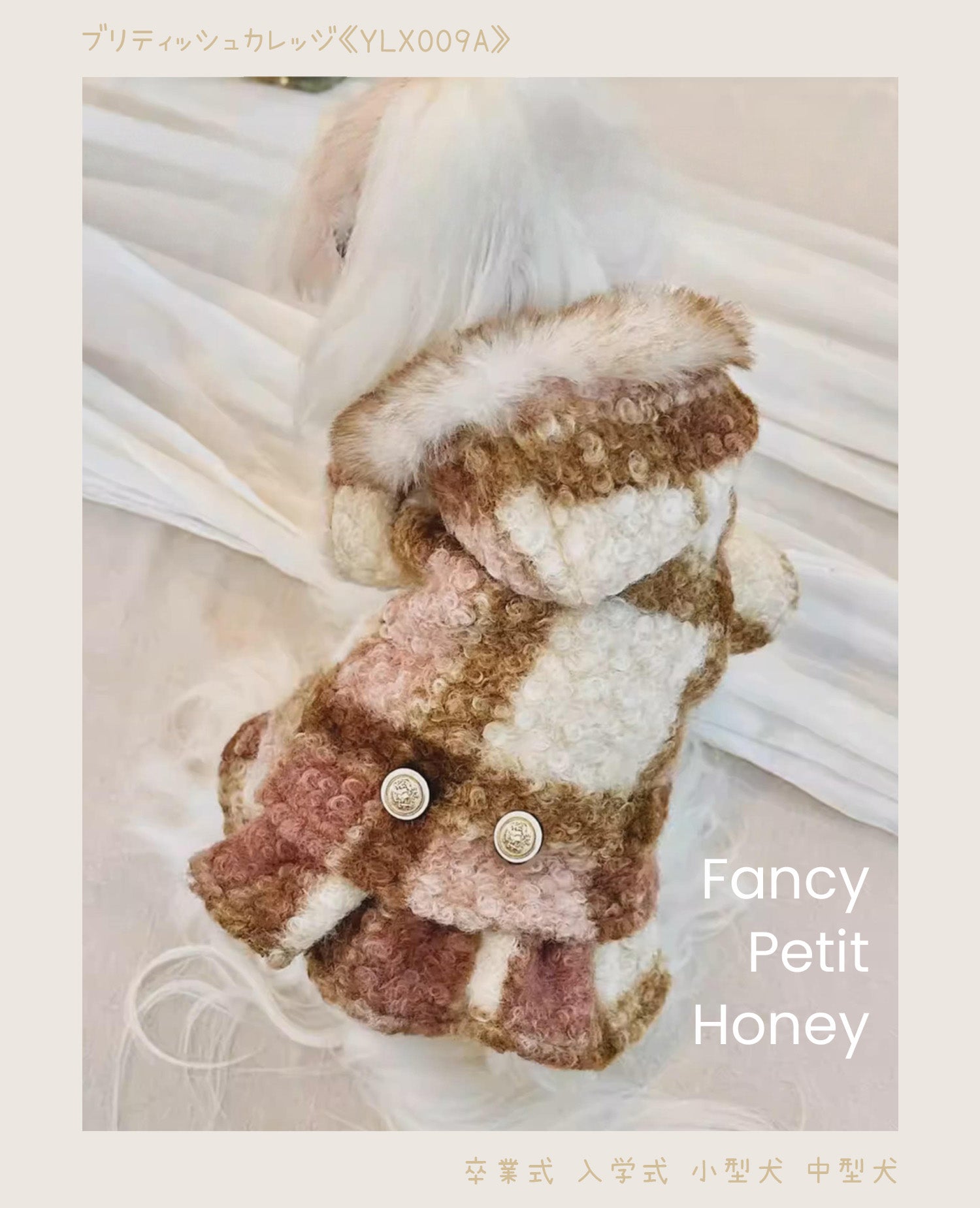 Fancy Petit Honeyのツイードコート《YLX009A》を着た小型犬。入学式・卒業式に映えるクラシカルな装い