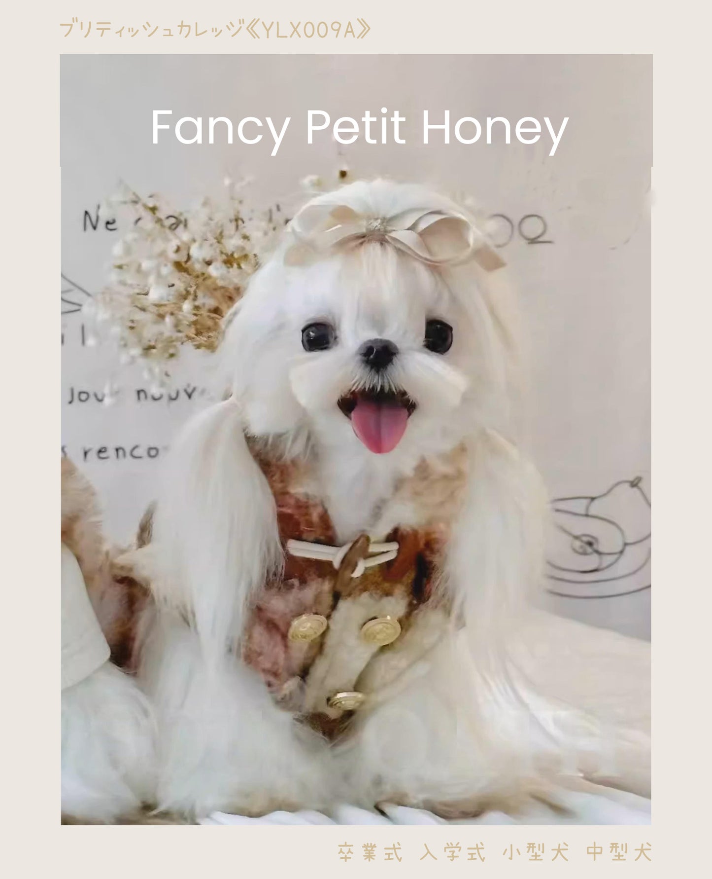 Fancy Petit Honeyの《YLX009A》ツイードコート。繊細な素材感と上品なディテールが魅力